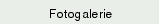 Fotogalerie